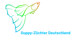 Guppy-Züchter Deutschland (GZD)