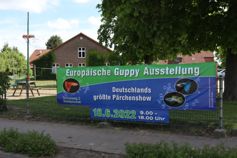 Guppy-Ausstellung Schiphorst 2022