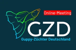 Logo Online-Meeting