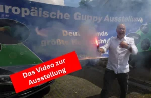 Video zur Ausstellung 2024