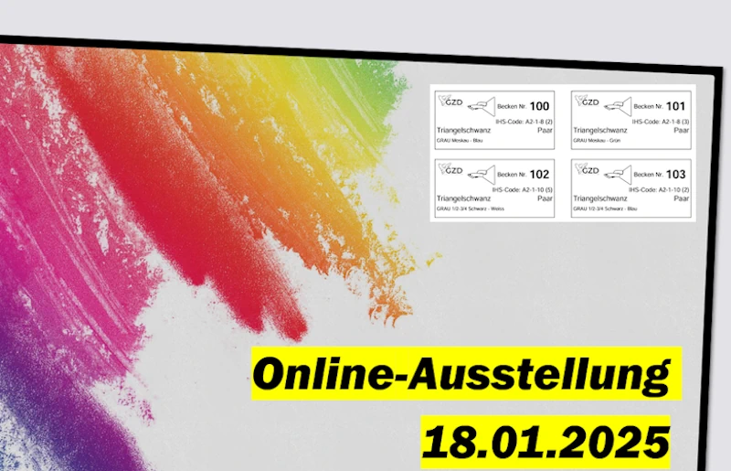 Online-Ausstellung 2025