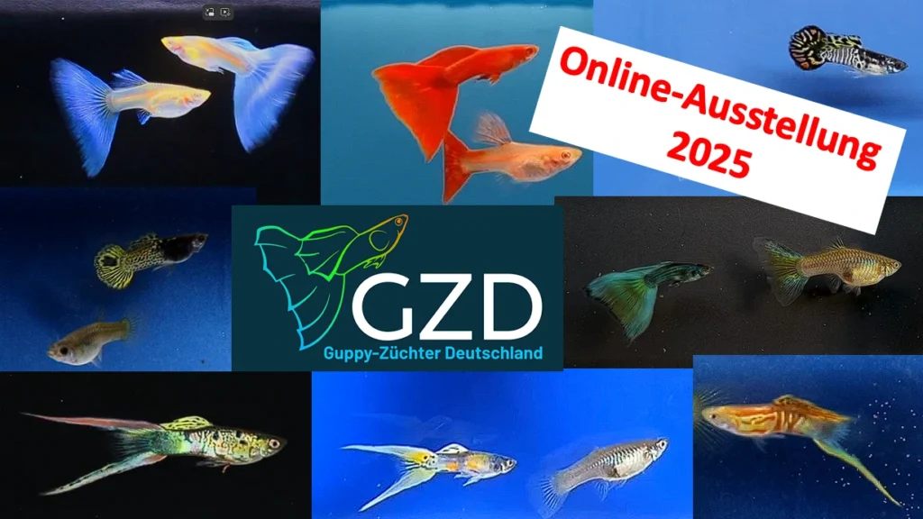 Guppy Highlights GZD Online-Ausstellung 2025