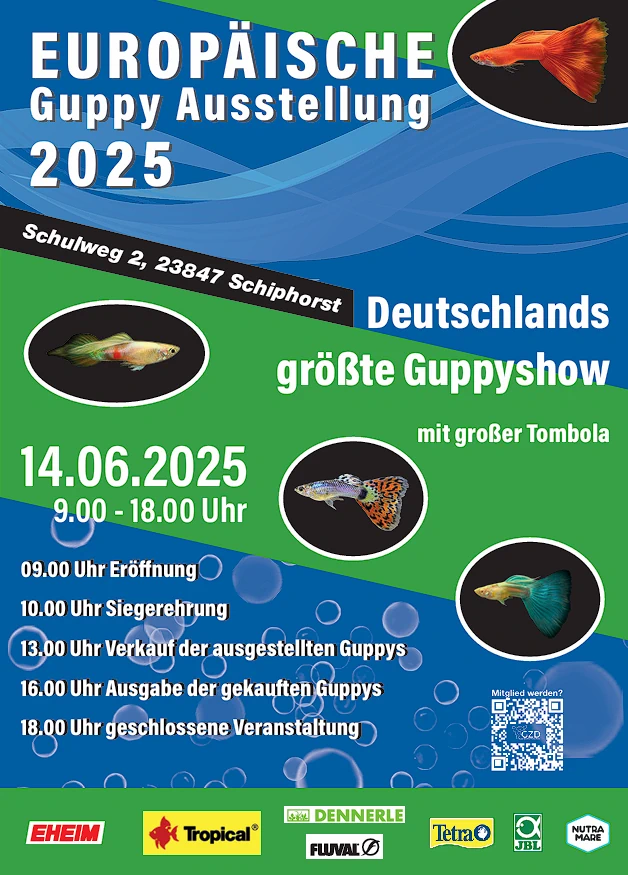 Flyer Schiphorst 2025