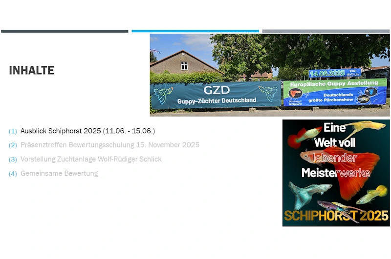 Beitragsbild Online-Meeting Mai 2025