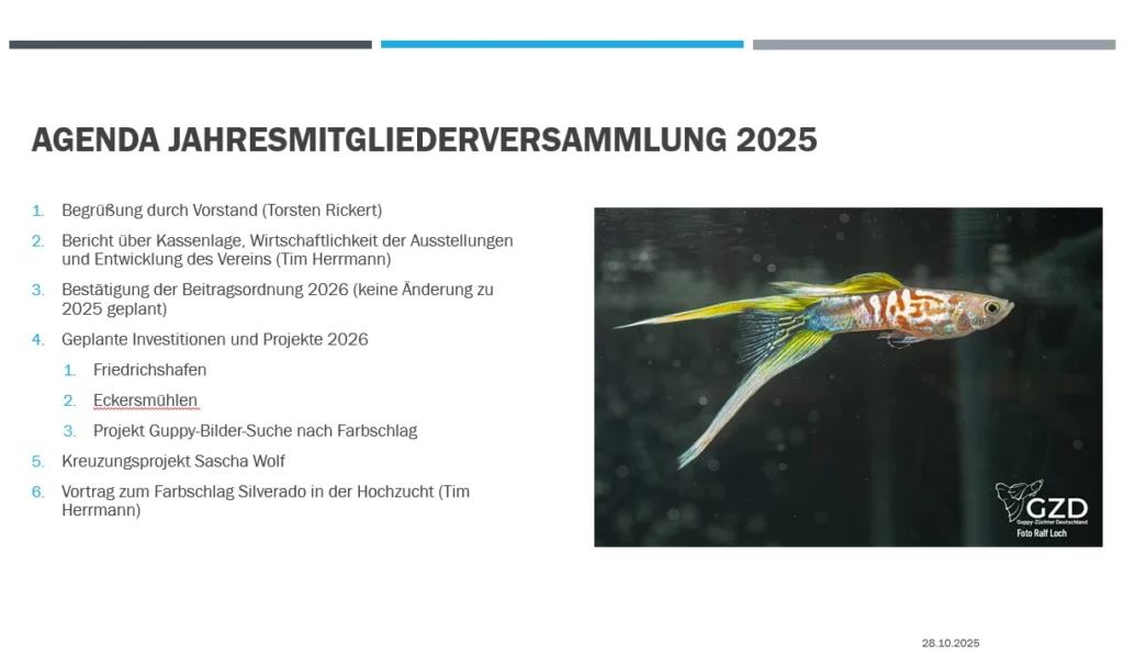 Agenda GZD-Mitgliederversammlung 2025