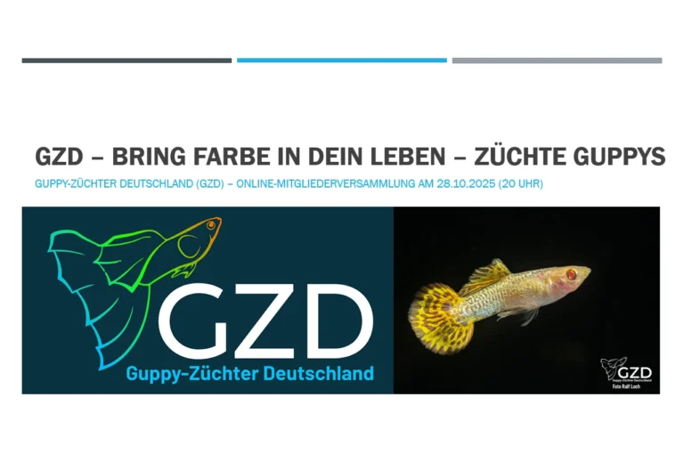 Beitragsbild Mitgliederversammlung 2025