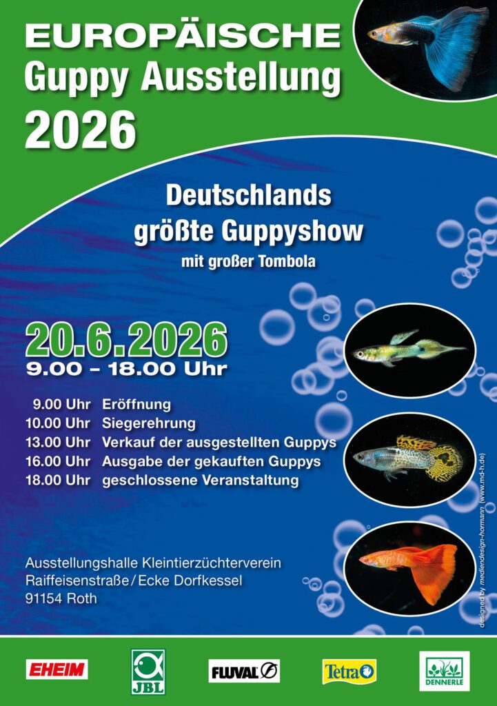 GZD Flyer 2026