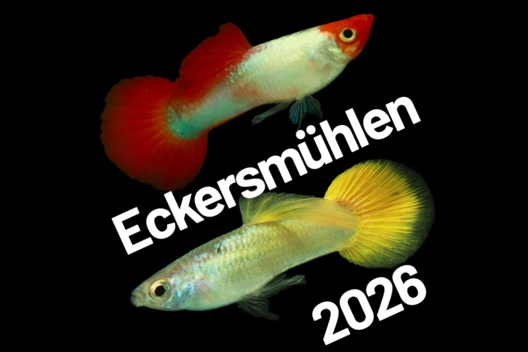 Logo Eckersmühlen 2026
