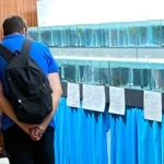 Anlage mit vorgezogenen Lampen Anlage mit vorgezogenen Lampen