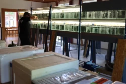 Frisches Wasser in den Becken Frisches Wasser in den Becken