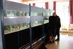 Feinschliff an der Anlage Feinschliff an der Anlage